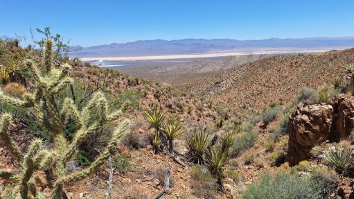 Desert Antimony project area