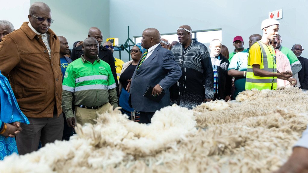 Sheared wool being processed