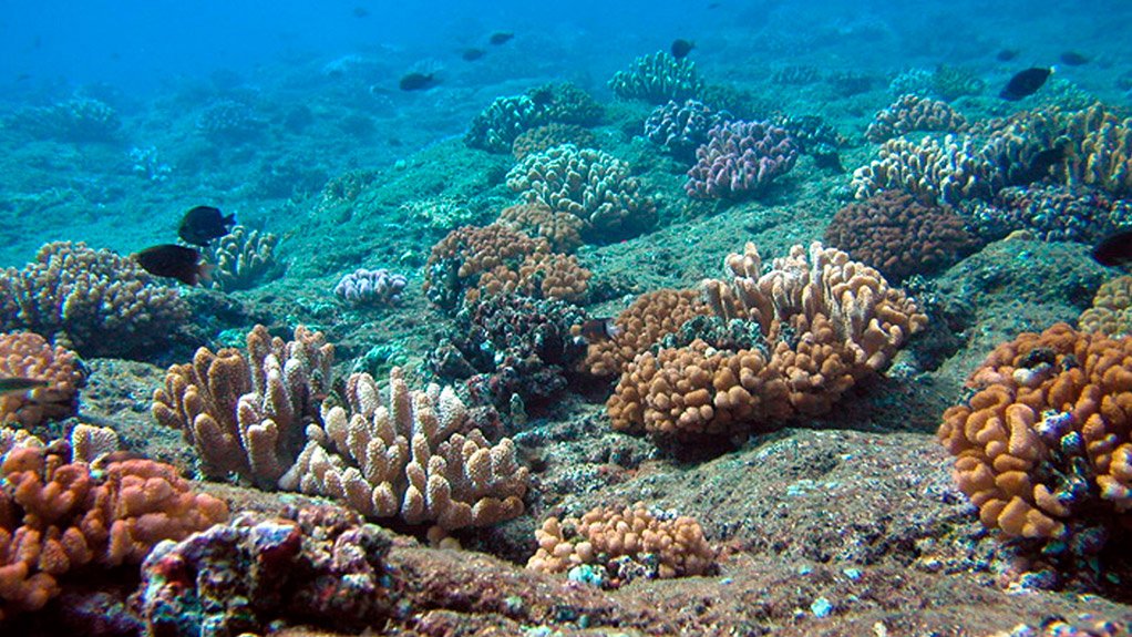 Seabed