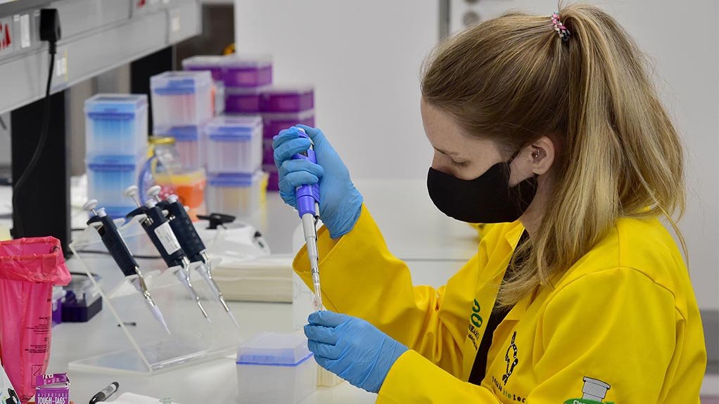 Medical samples being tested in a lab