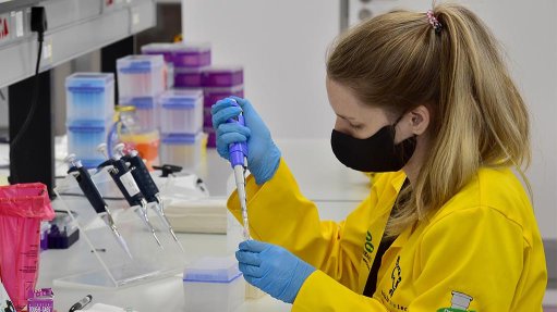 Medical samples being tested in a lab