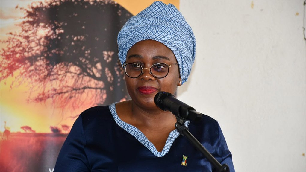 Minister of Justice and Constitutional Development Mmamoloko Kubayi