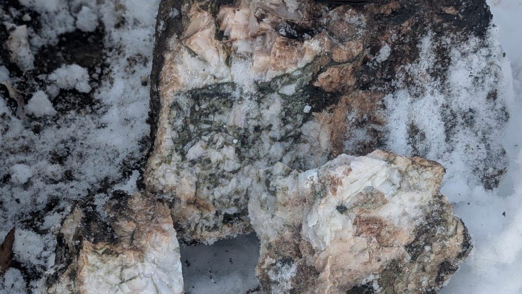 Rare earth mineralisation