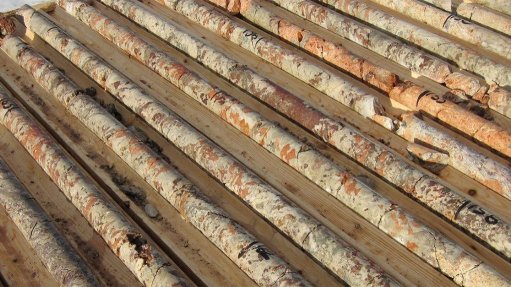 Rare earths mineralisation
