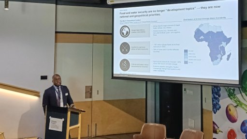 Image of Business Sweden strategy and business development Middle East and Africa project manager Kudakwashe Koke