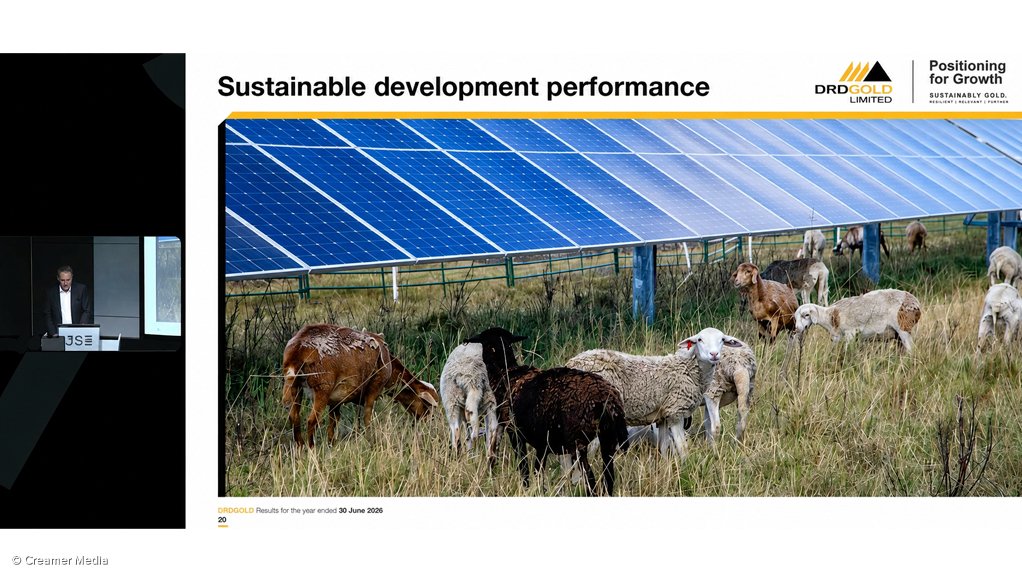 Sheep keeping grass low around solar panels.

