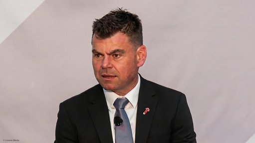 Harmony CEO Beyers Nel.