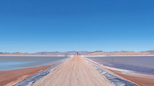 Posco Argentina's Sal de Oro lithium project