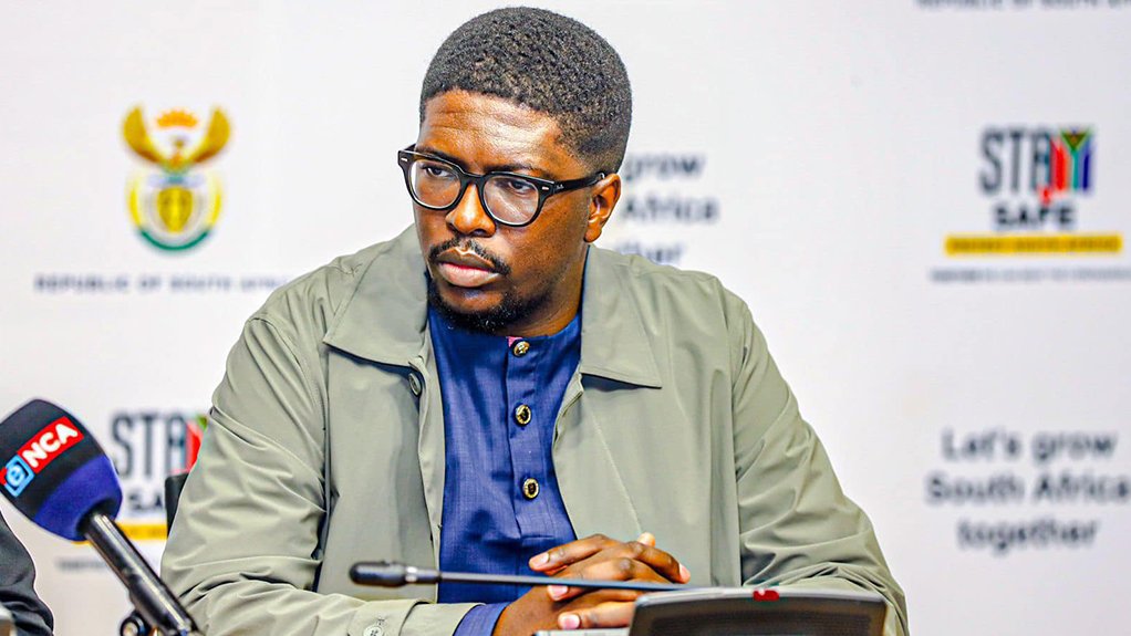 Transport Deputy Minister Mkhuleko Hlengwa 