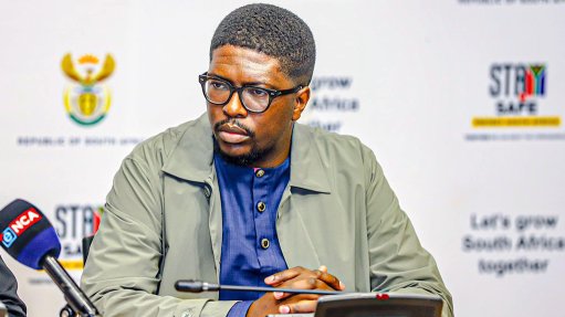 Transport Deputy Minister Mkhuleko Hlengwa 