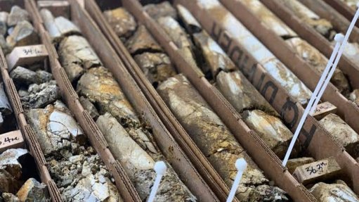 Rare earths mineralisation