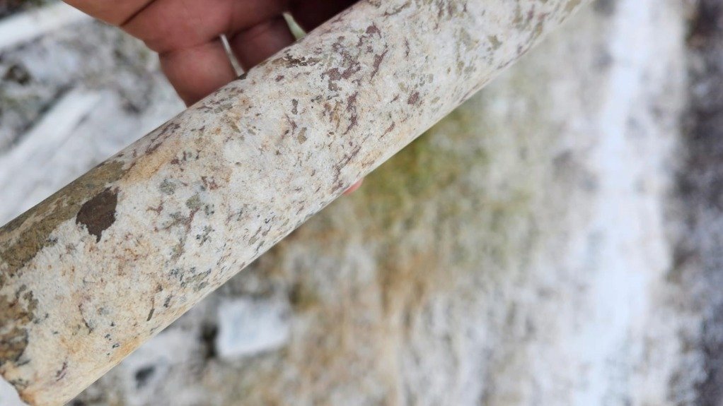Rare earths drill core