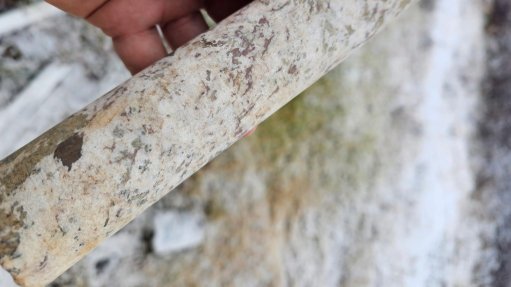 Rare earths drill core