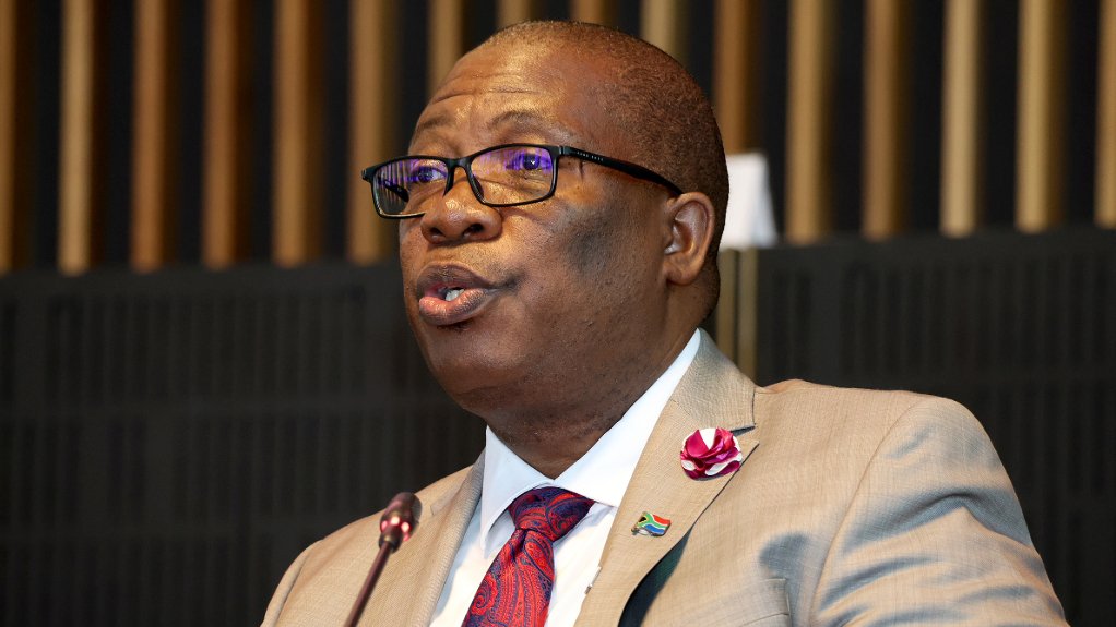 Gauteng Premier Panyaza Lesufi’