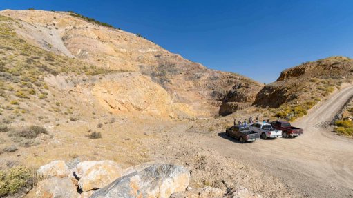 Black pine project area