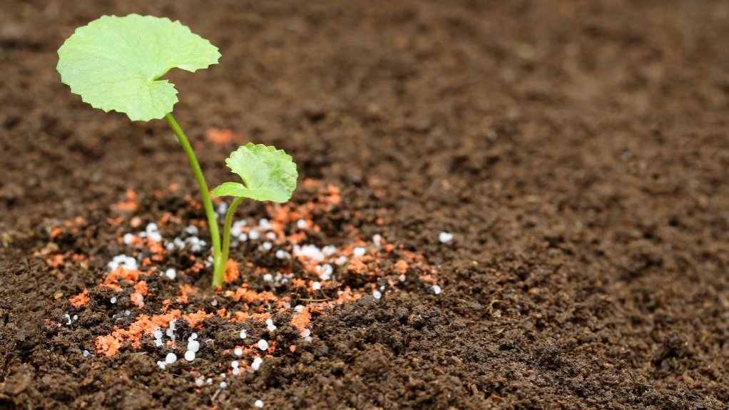 A sapling surrounded by fertiliser