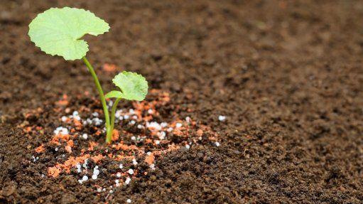 A sapling surrounded by fertiliser