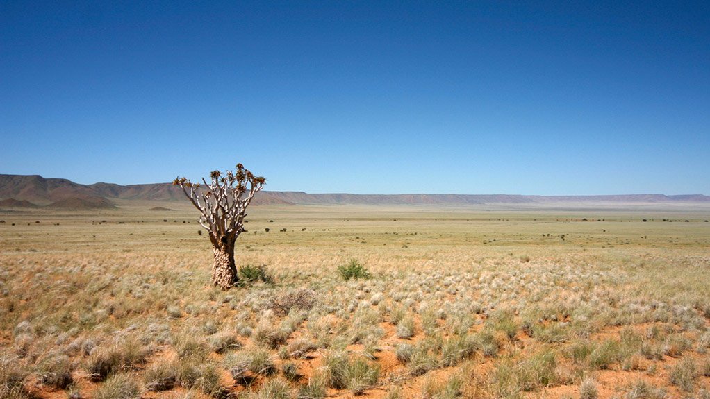 Karoo landscape