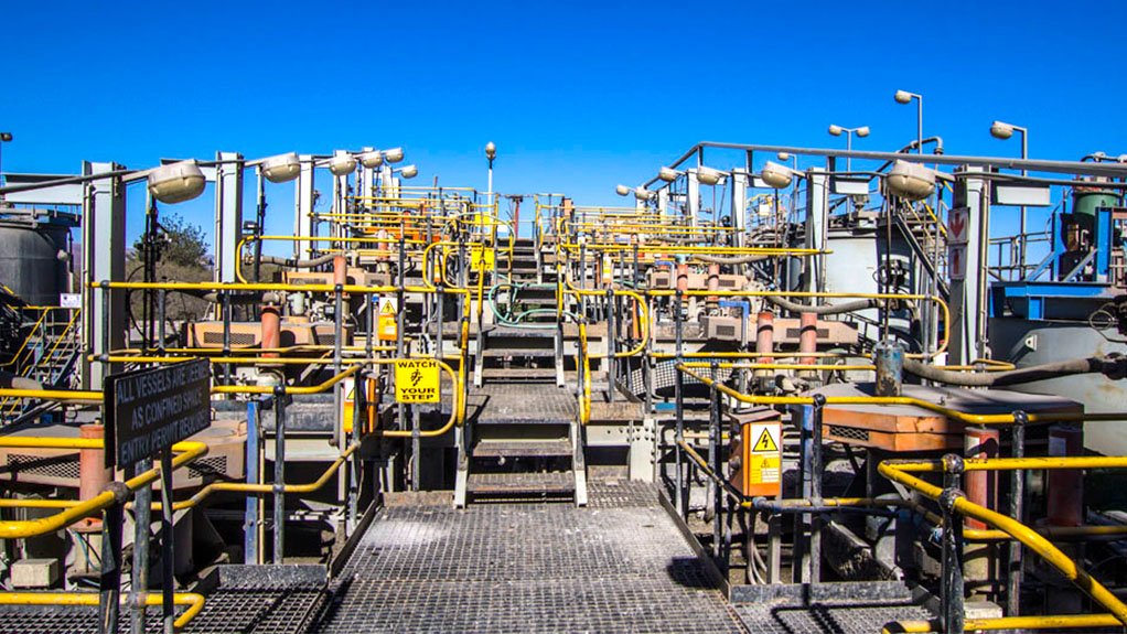 An image of the Mooinooi plant