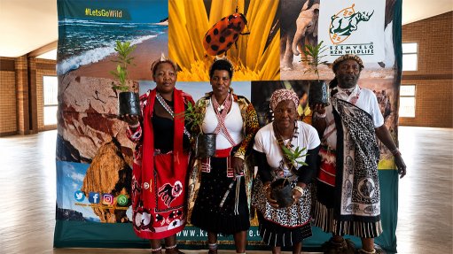 Traditional Healers