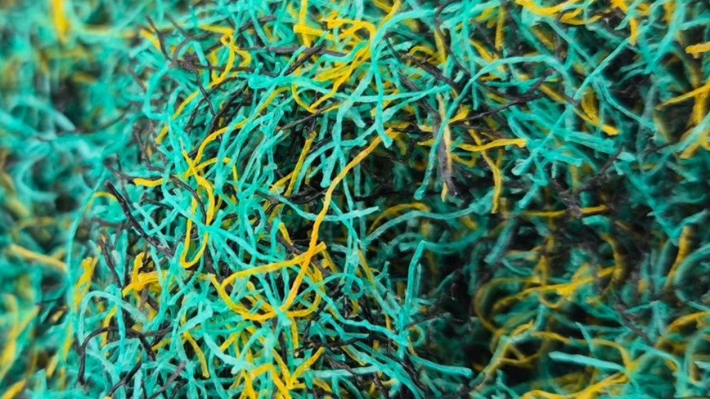 Fishing net collected from fisheries for recycling
