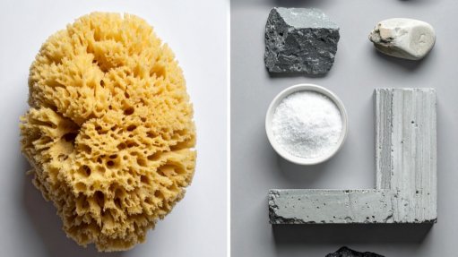 Sea sponge and recovered metals