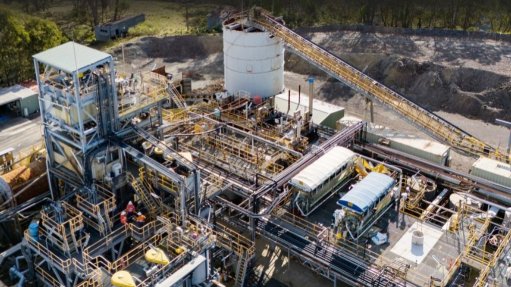 Hillgrove plant