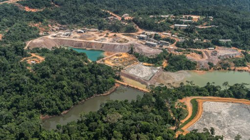Palito project area