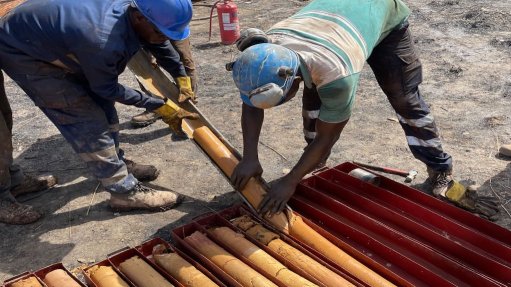 Drill core from the Diamba Sud project