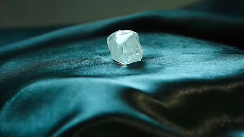 The 176 carat white diamond.