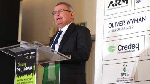 Minerals Council South Africa president Paul Dunne