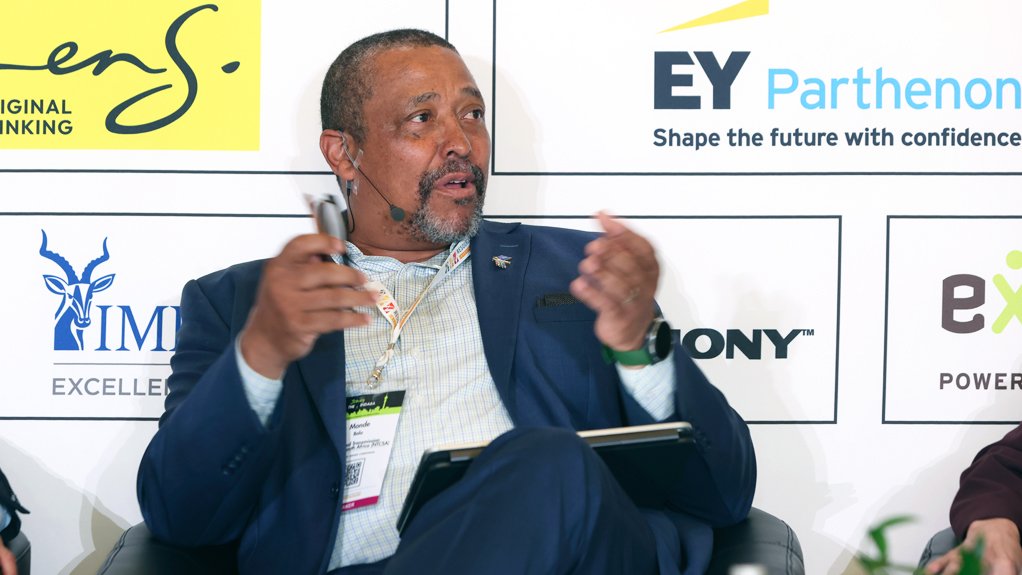 National Transmission Company South Africa CEO Monde Bala.