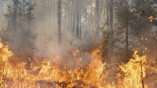 Balancing fire safety with environmental responsibility