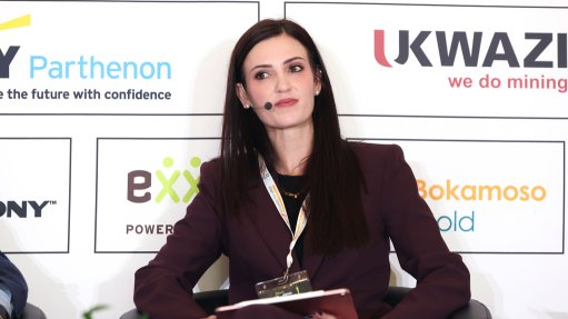 Kearney South Africa Energy Partner Frances Phillips. 