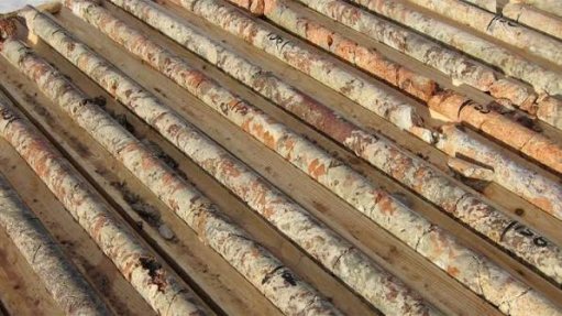 rare earths drill core