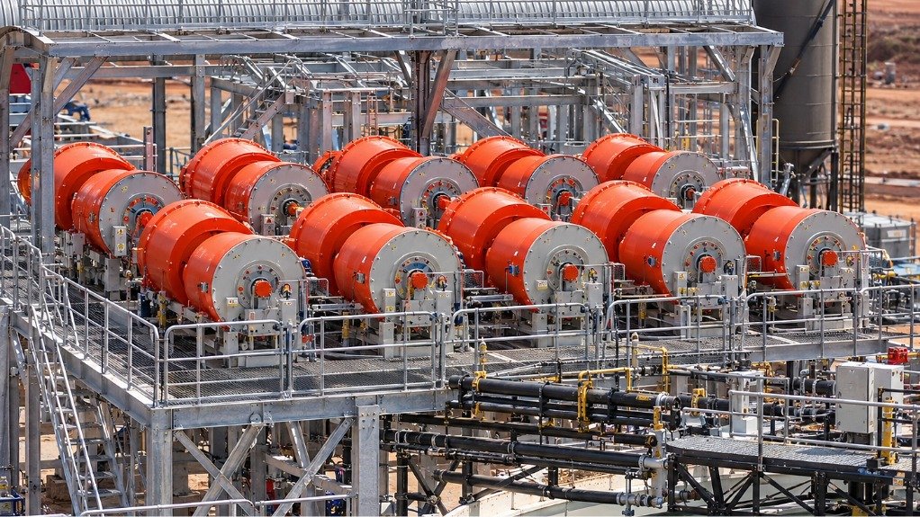 Kangankunde plant