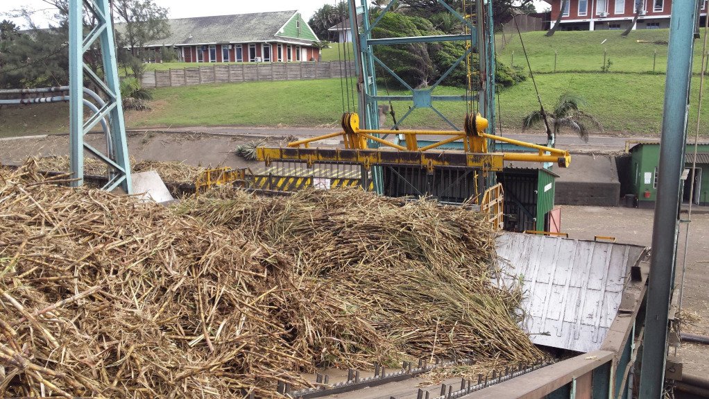 Sugarcane loading