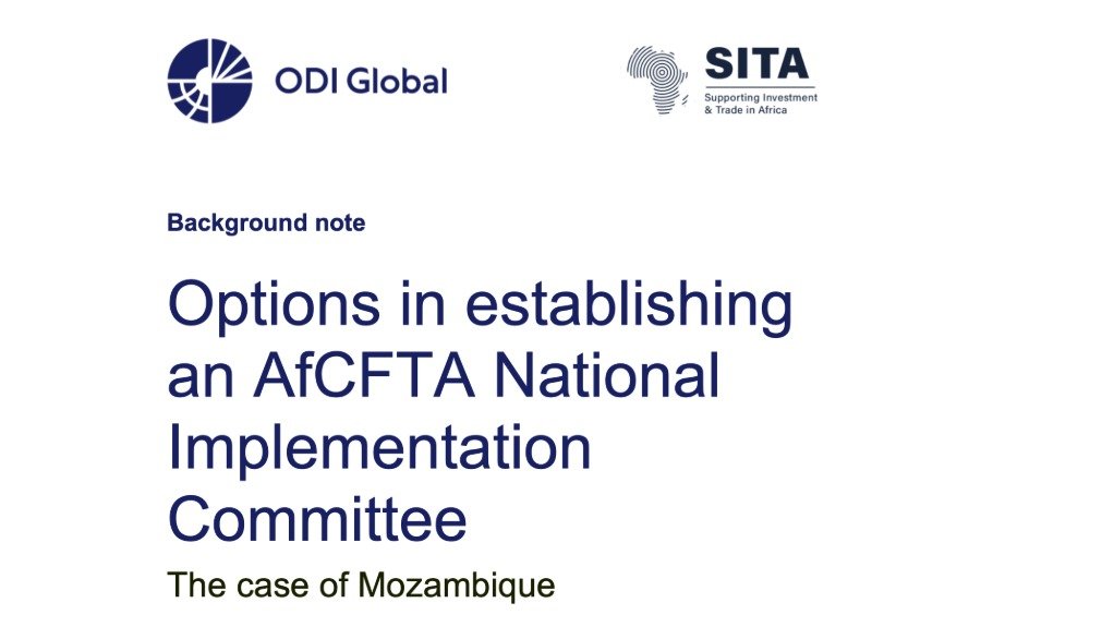 Options in establishing an AfCFTA National Implementation Committee: the case of Mozambique