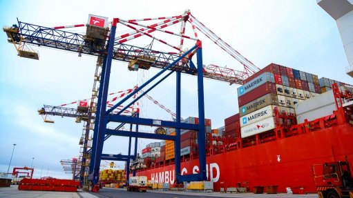 Cape Town Container Terminal expects bumper deciduous fruit export season