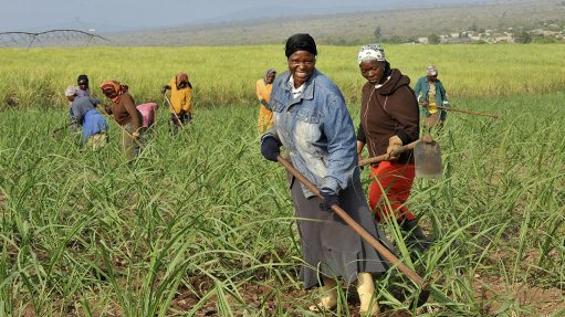 Akwandze Celebrates 20 Years of Growth, Partnership and Prosperity in Nkomazi