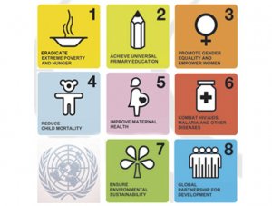 Africa on track with MDGs – SA