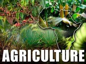 SA: Statement by Department of Agriculture, Forestry and Fisheries, on the launch of arbour week (03/09/2012) 