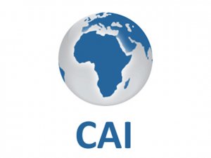Examining outbound Chinese tourism: Implications for Africa