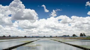 Municipalities owe water boards R2bn – Gordhan