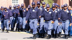Third of South Africans fear police – survey