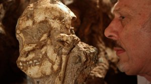 Oldest hominid fossil ‘Little Foot’ unveiled – Wits