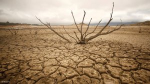 Treasury allocates R6bn for drought relief measures