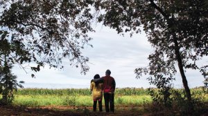 The Failing Response to Pesticide Drift in Brazil’s Rural Communities