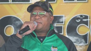 ANC Head of Elections, Fikile Mbalula