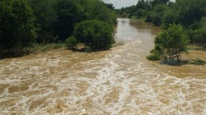 DWS:  Duzi River pollution